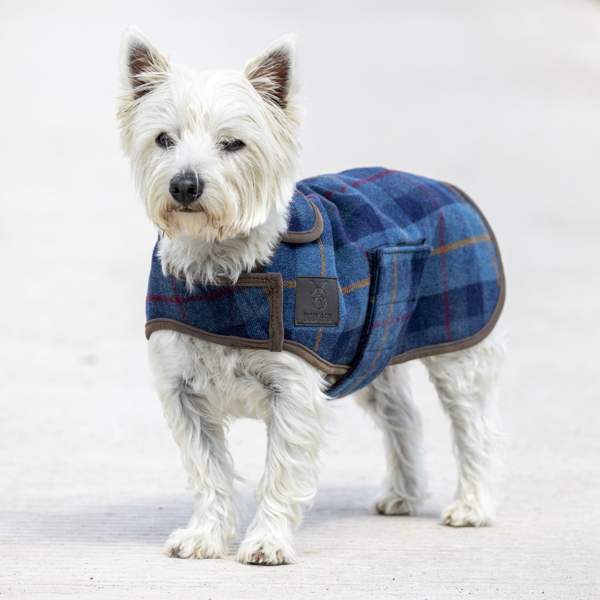 Shires Digby Fox Tweed Dog Coat