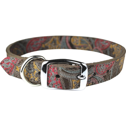 Paisley Collection Dog Collar