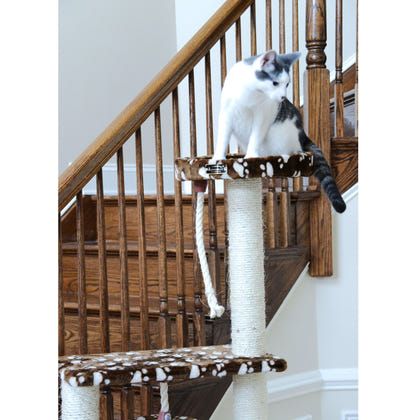 Armarkat Real Wood Cat Tree Model A6601 66in Paw