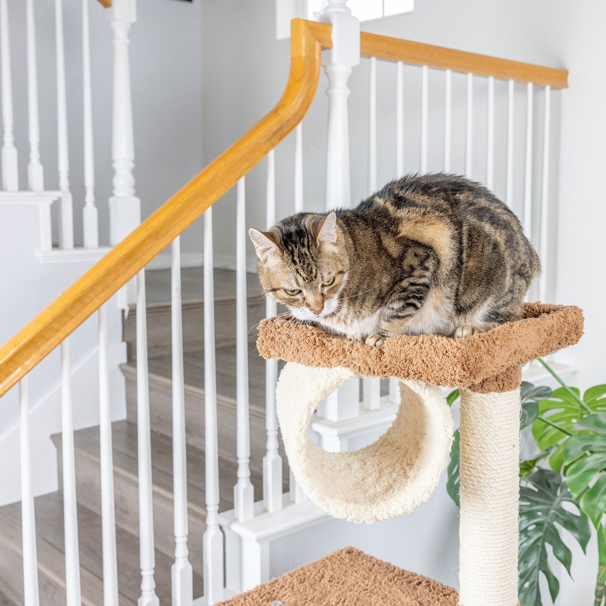 Armarkat Real Wood Cat Tree Model X7001 70in Tan