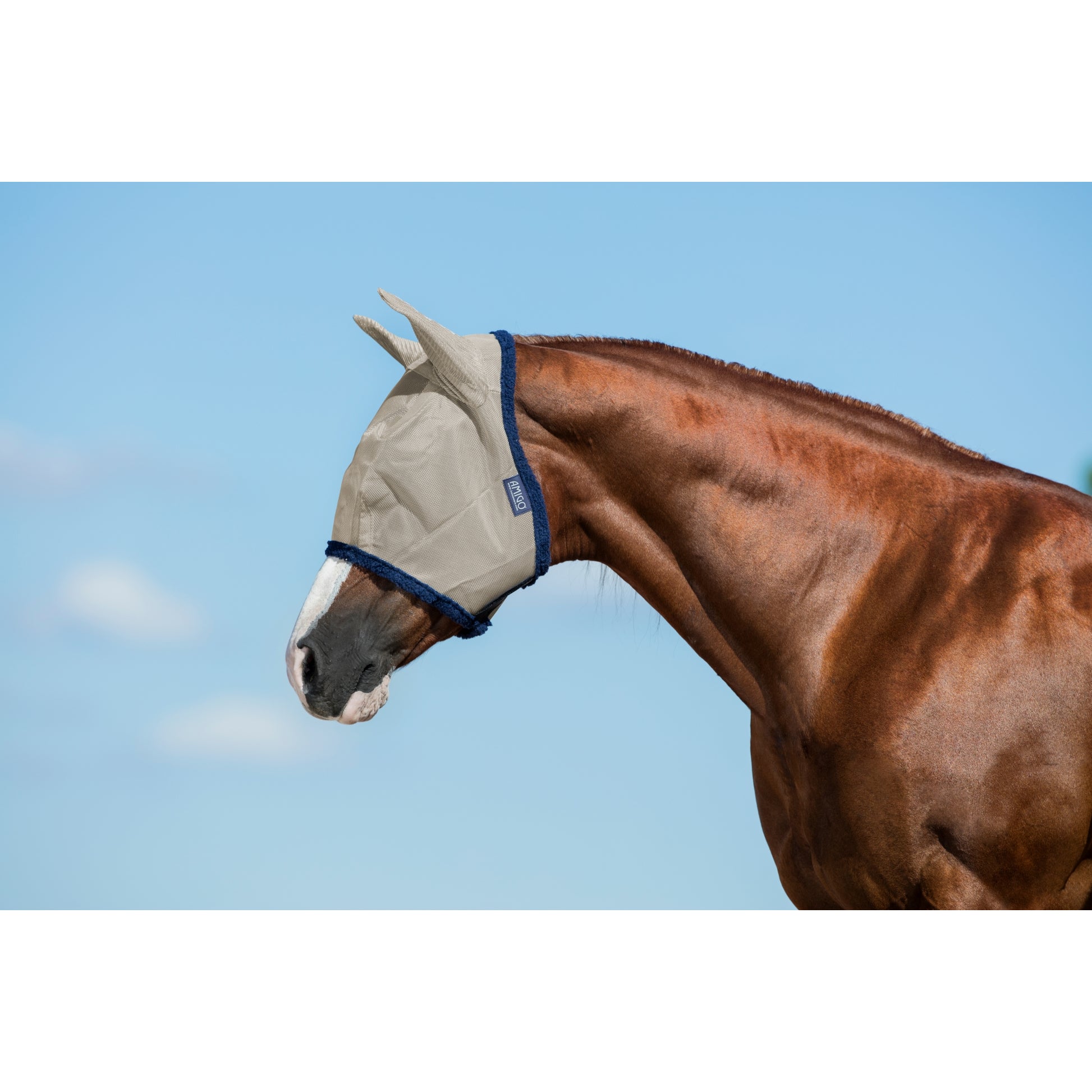 Amigo Fly Mask