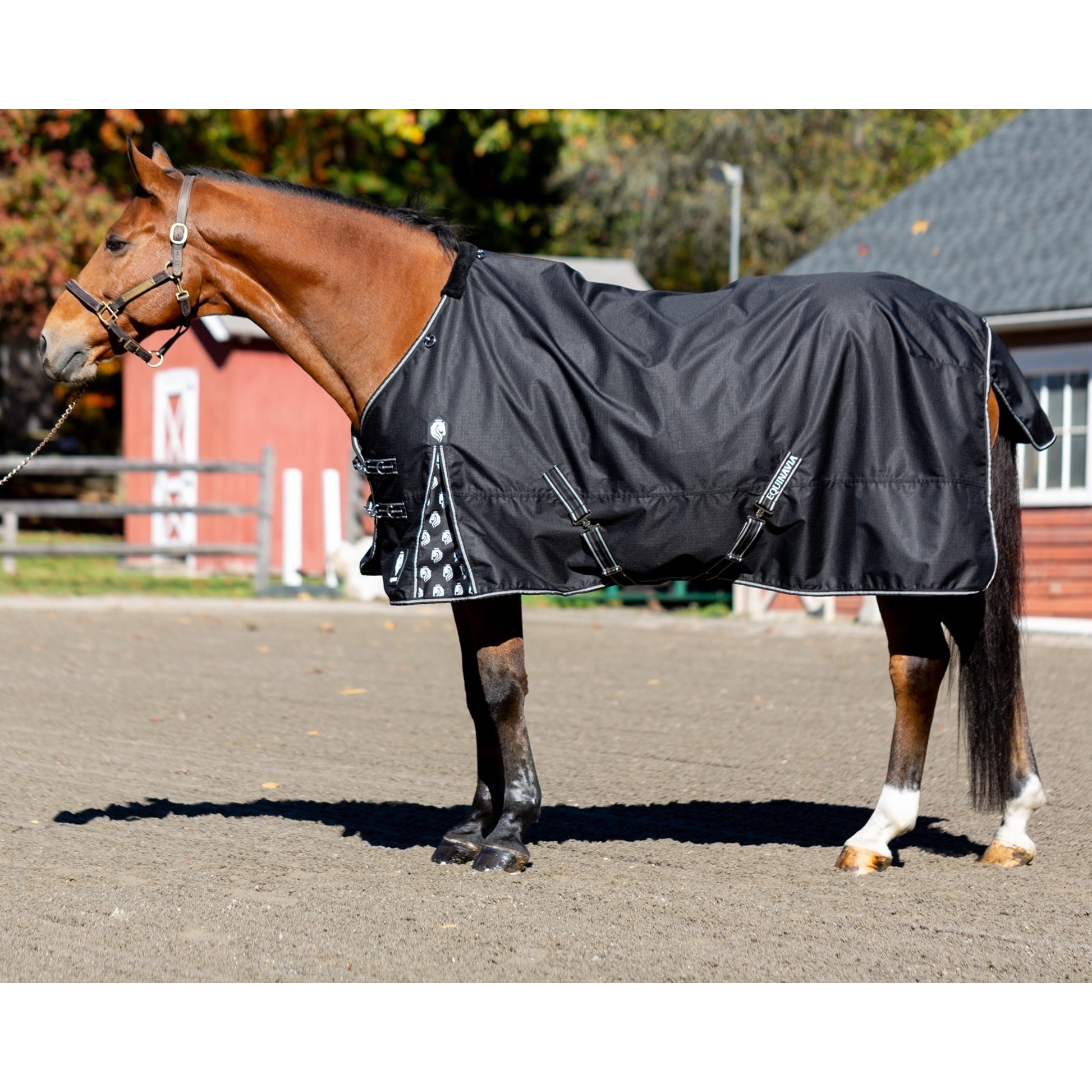 Equinavia Norse MidWeight Turnout Blanket 200g