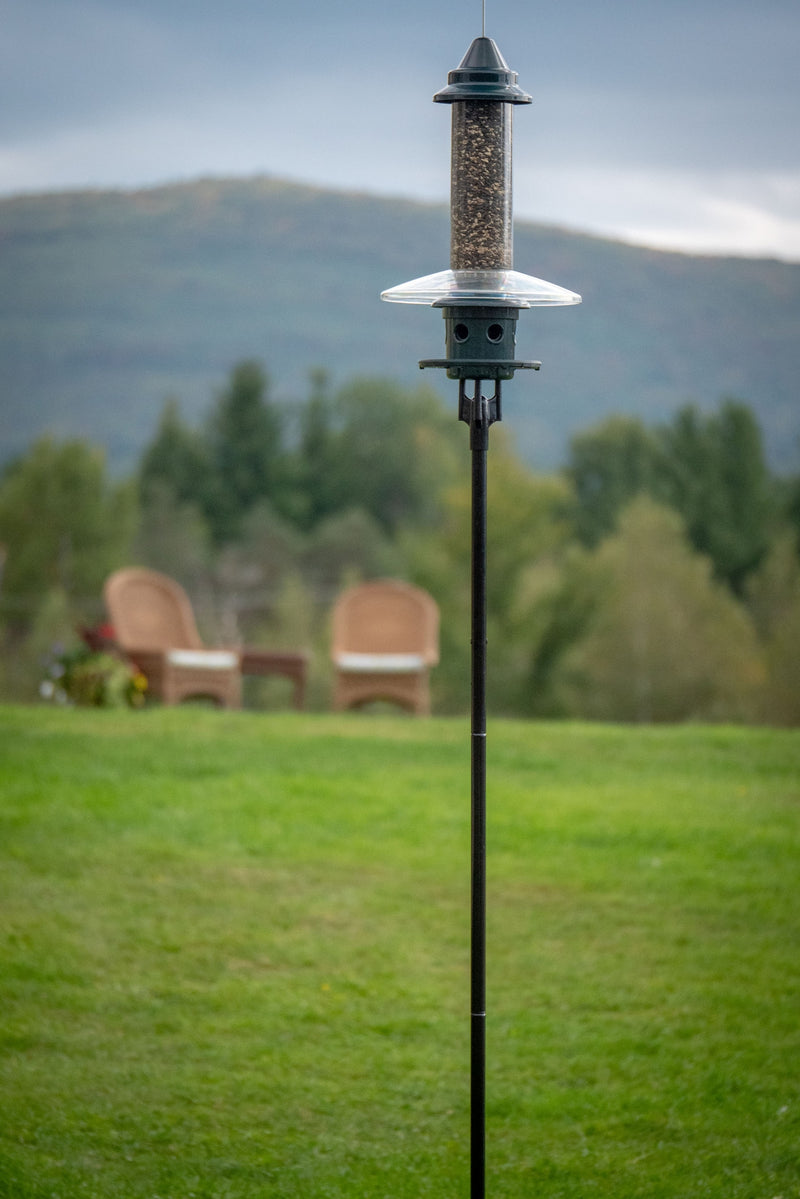 Brome Birdsup Single Pole