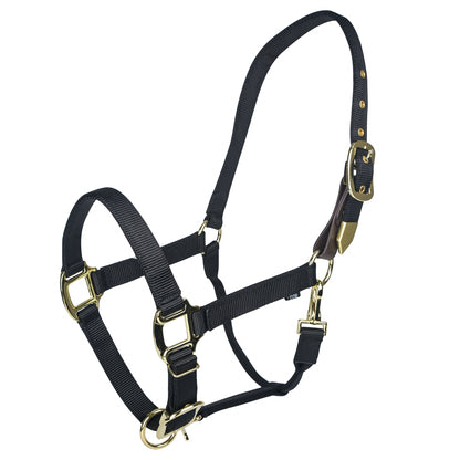 Gatsby Gold Personalized Adjustable Nylon Safety Breakaway Halter