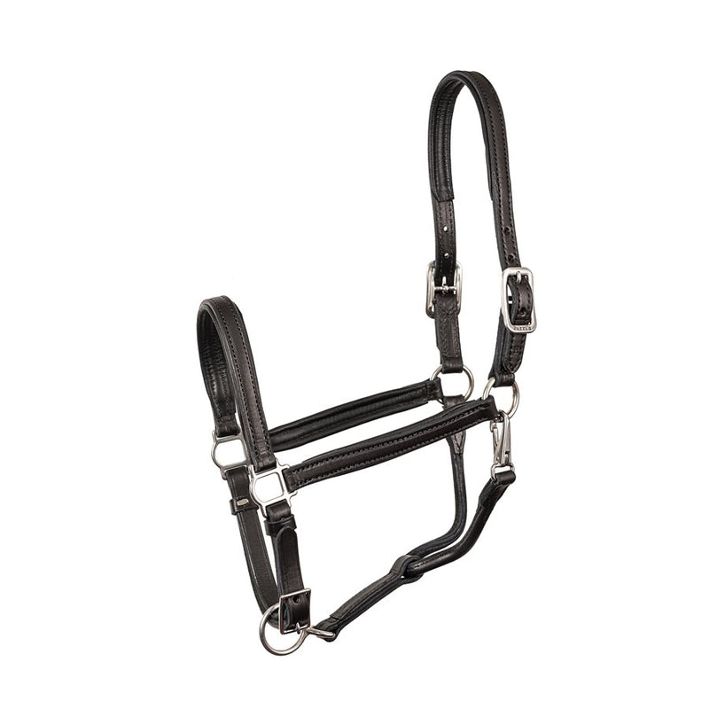 Perri's 3/4" Padded Leather Halter