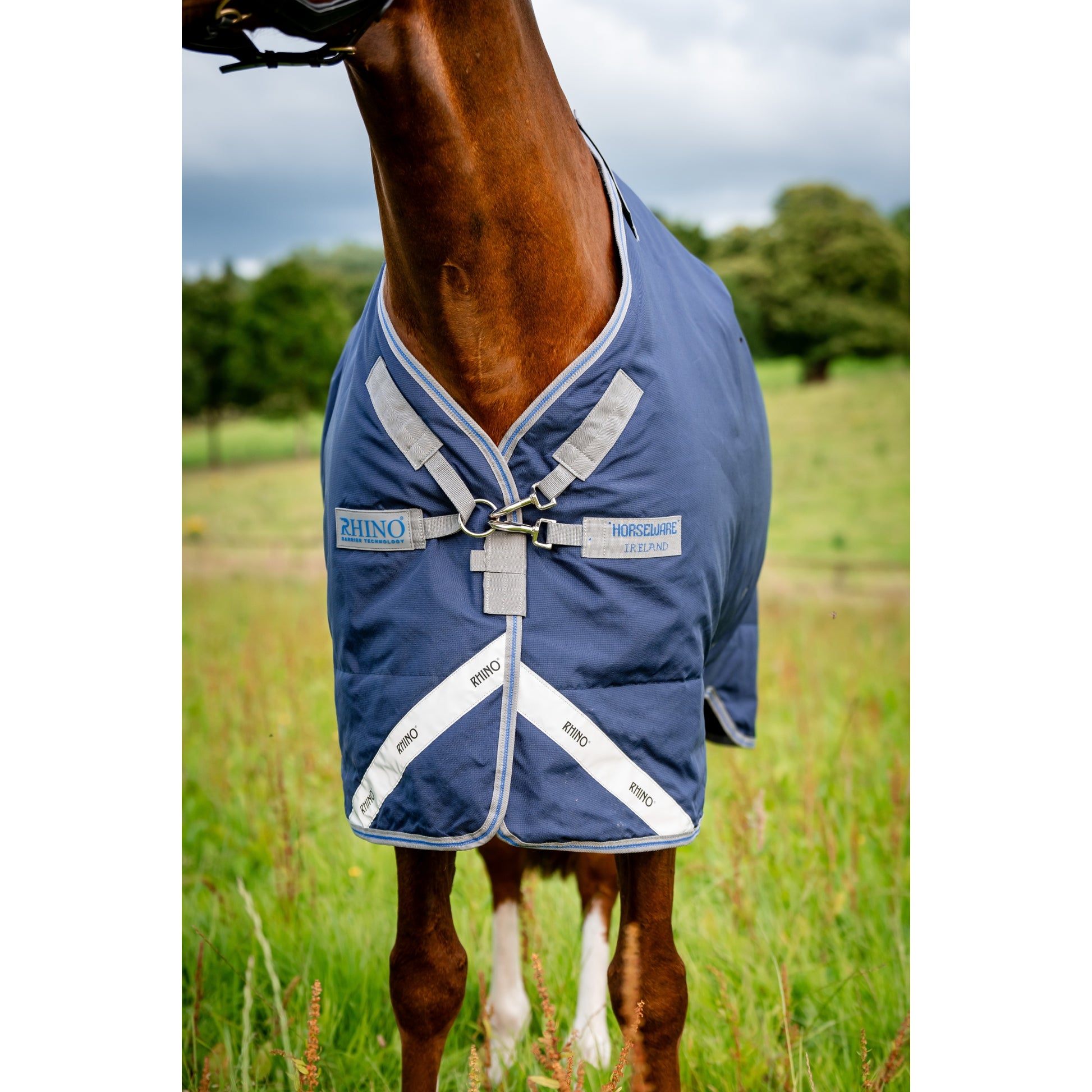 Rhino Plus Pony Turnout (250g Medium)