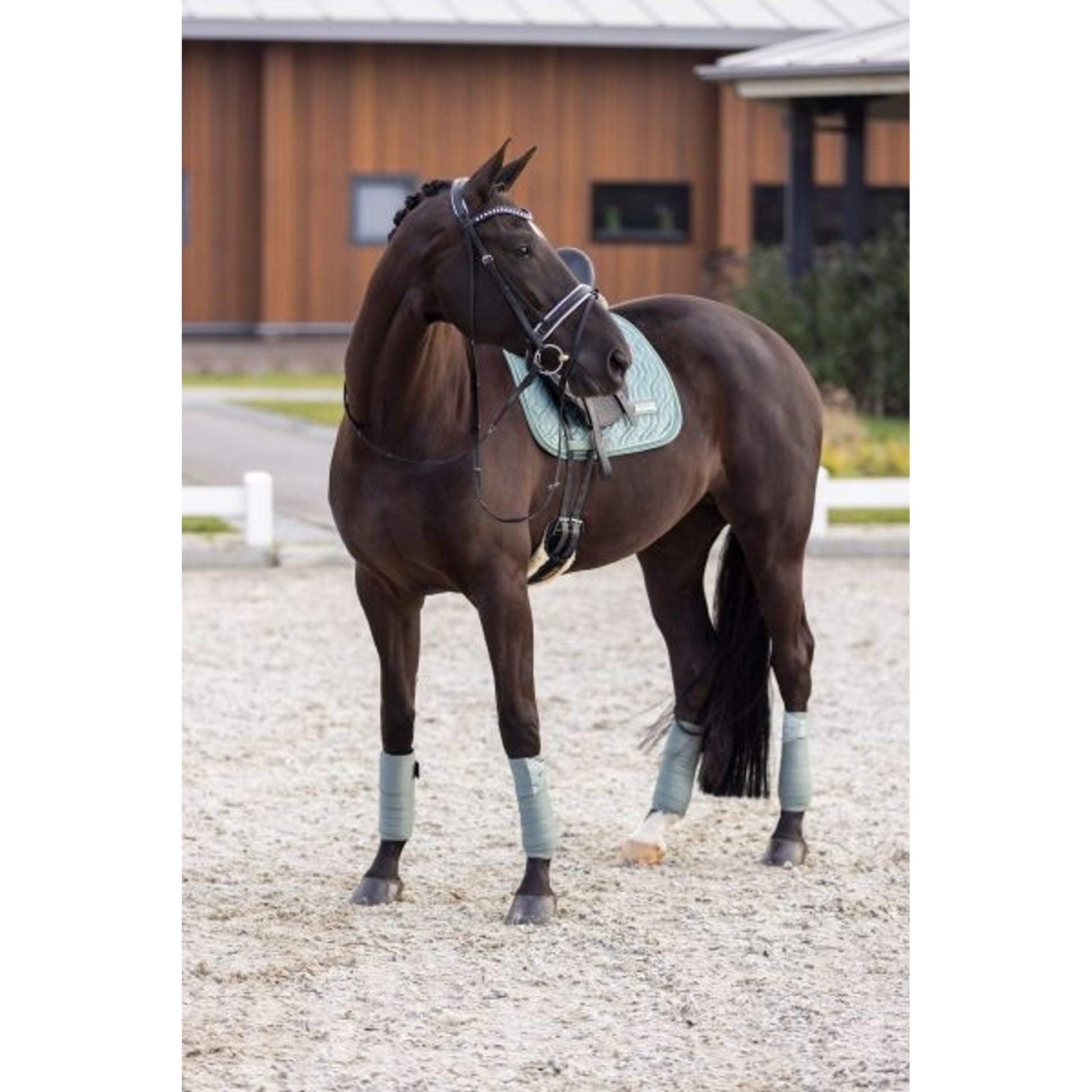 Imperial Riding IRHSky General Purpose Saddle Pad