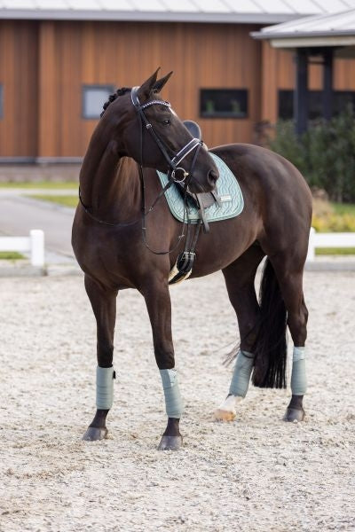 Imperial Riding IRHSky General Purpose Saddle Pad