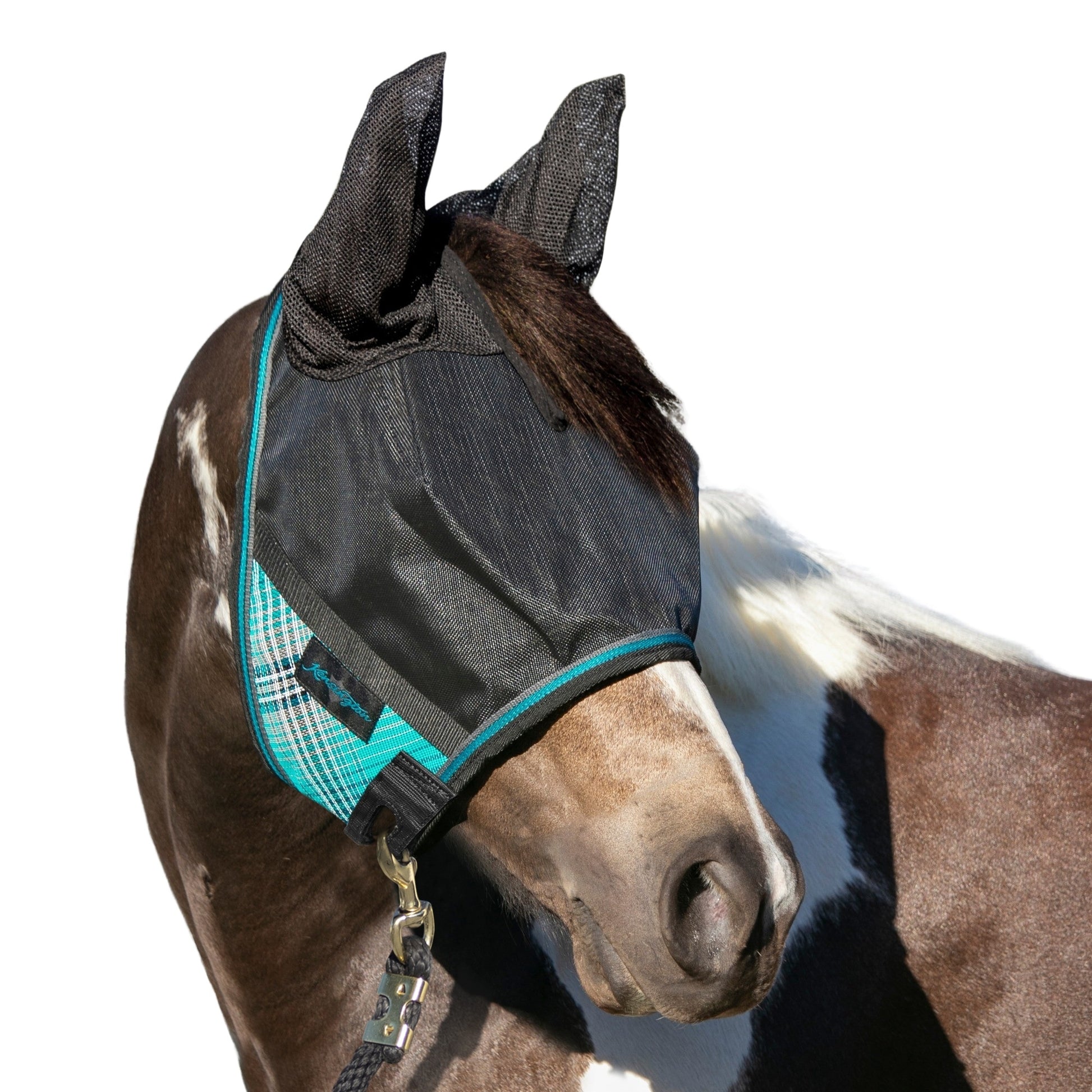 UV CatchMask Ears Frlk
