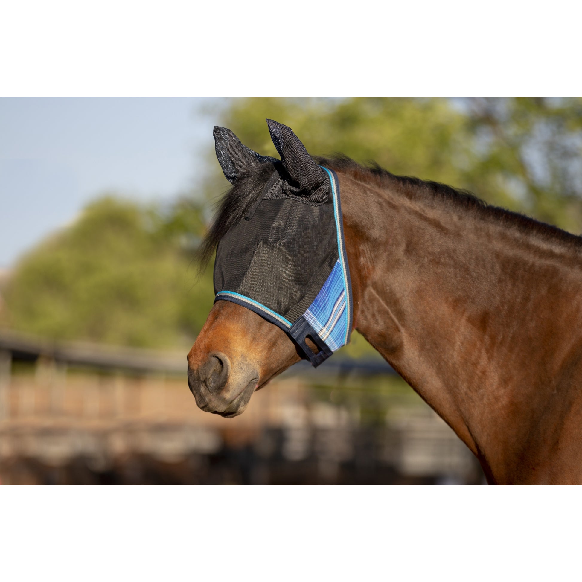 UV CatchMask Ears Frlk