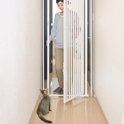Richell Cat Safety Gate