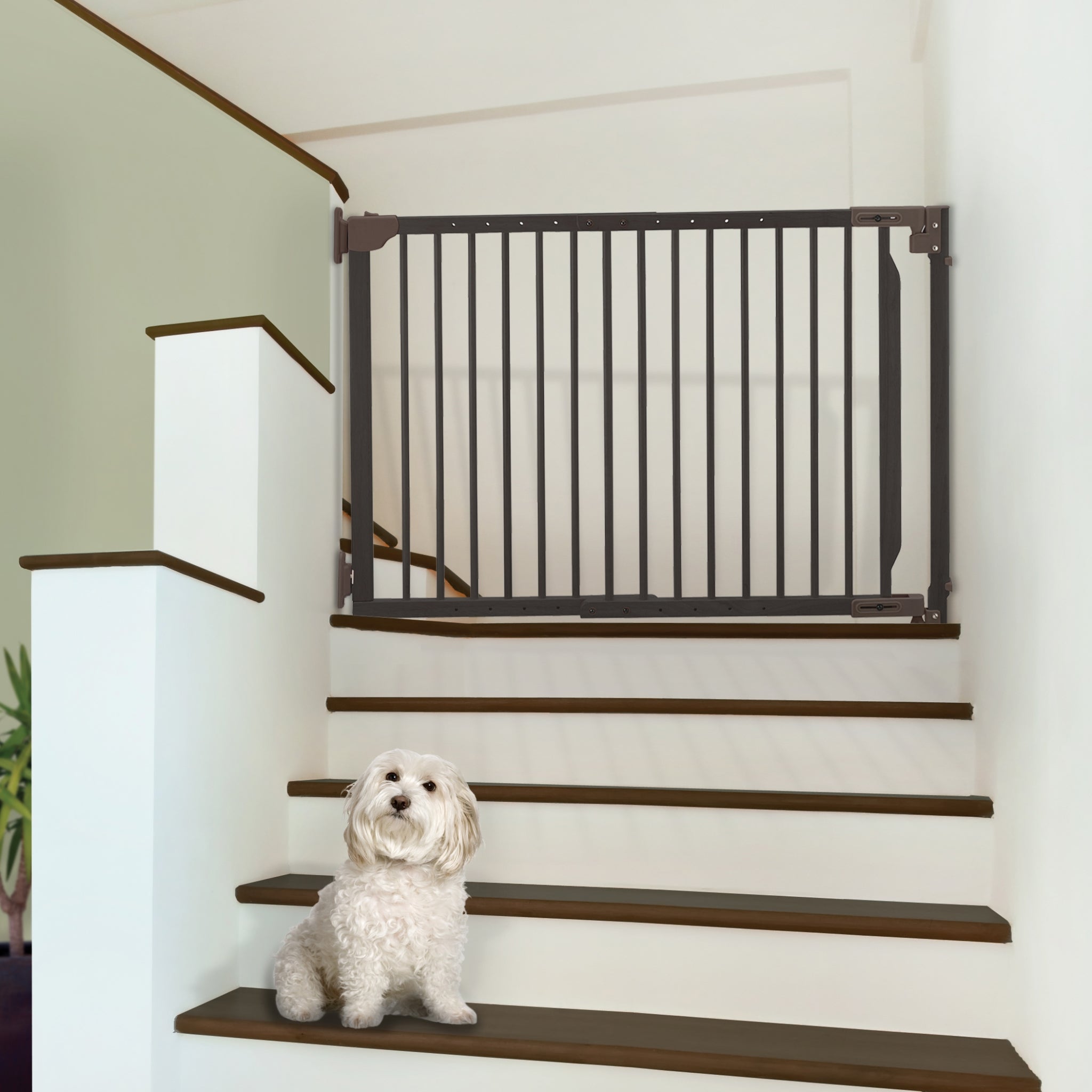 Richell Expandable Walk-Thru Pet Gate