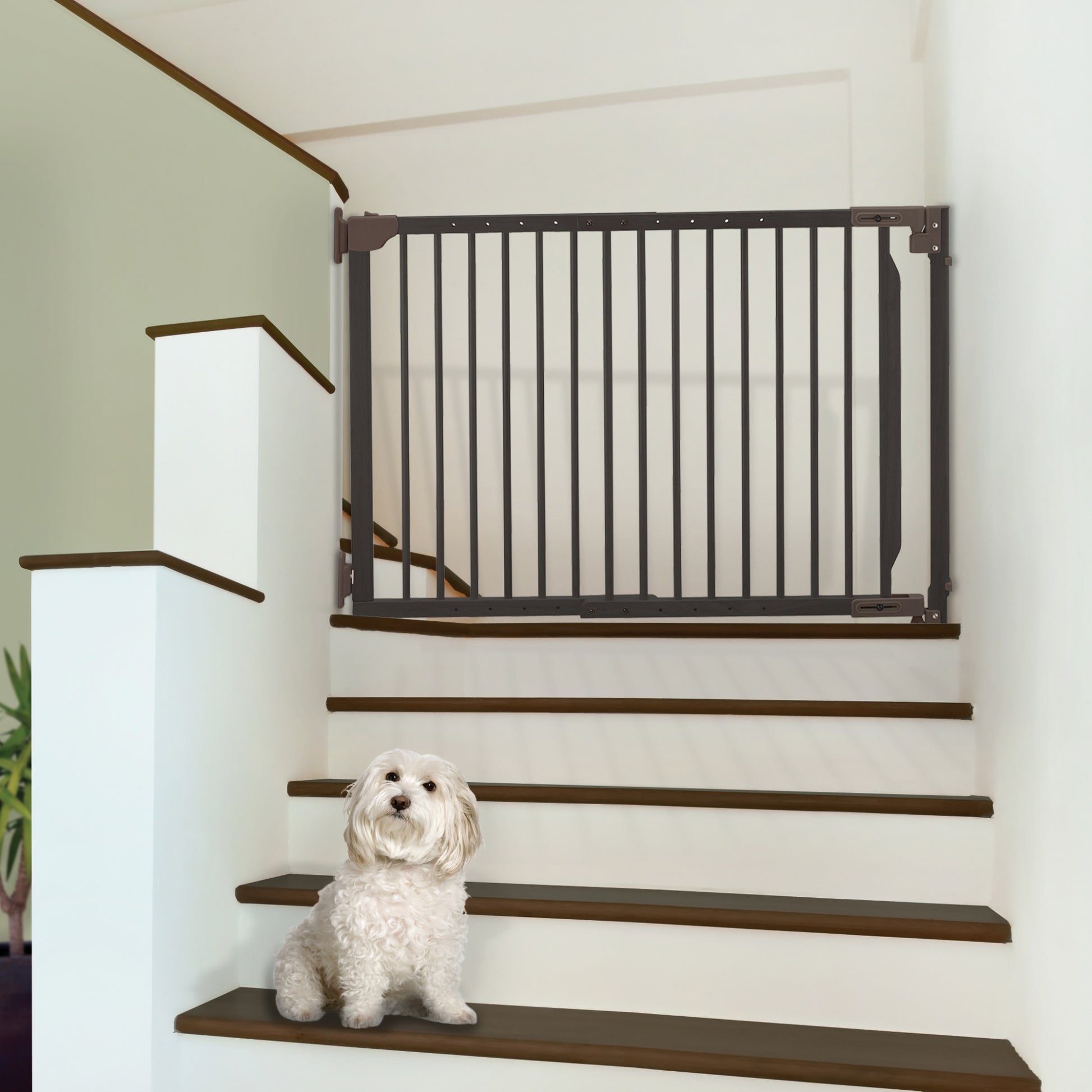 Richell Expandable Walk-Thru Pet Gate