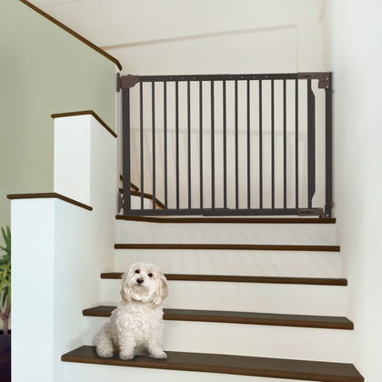 Richell Expandable Walk-Thru Pet Gate