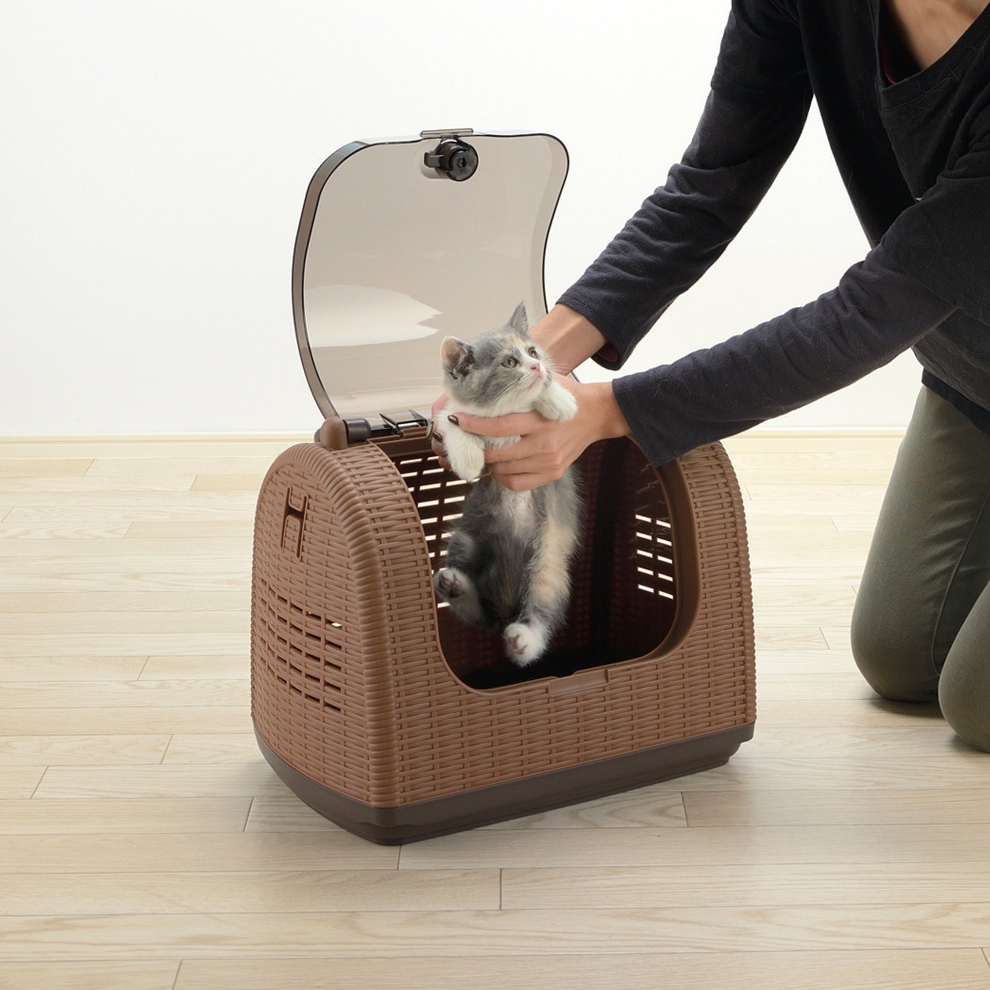 Richell Faux Wicker Pet Carrier