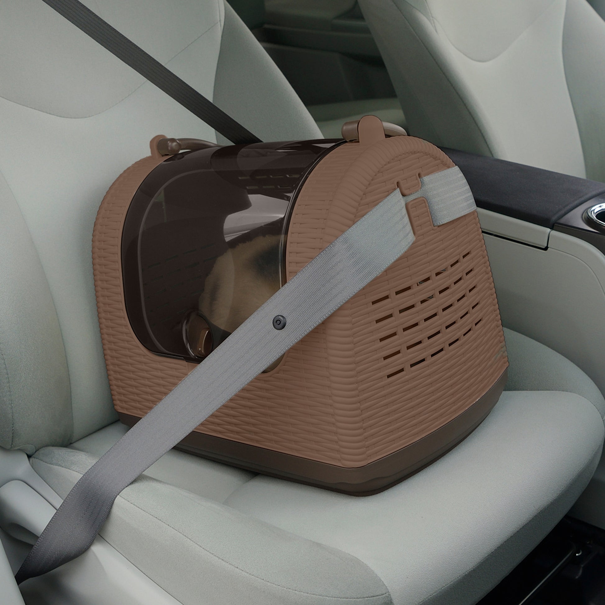 Richell Faux Wicker Pet Carrier