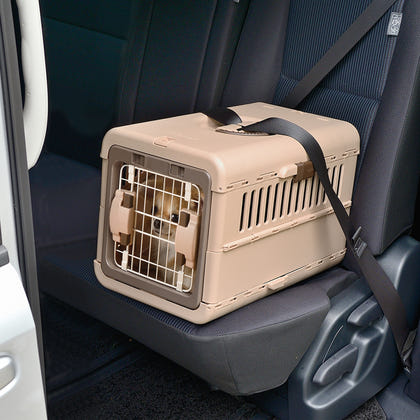 Richell Foldable Pet Carrier