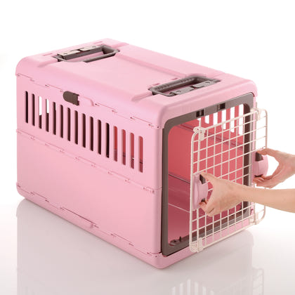 Richell Foldable Pet Carrier