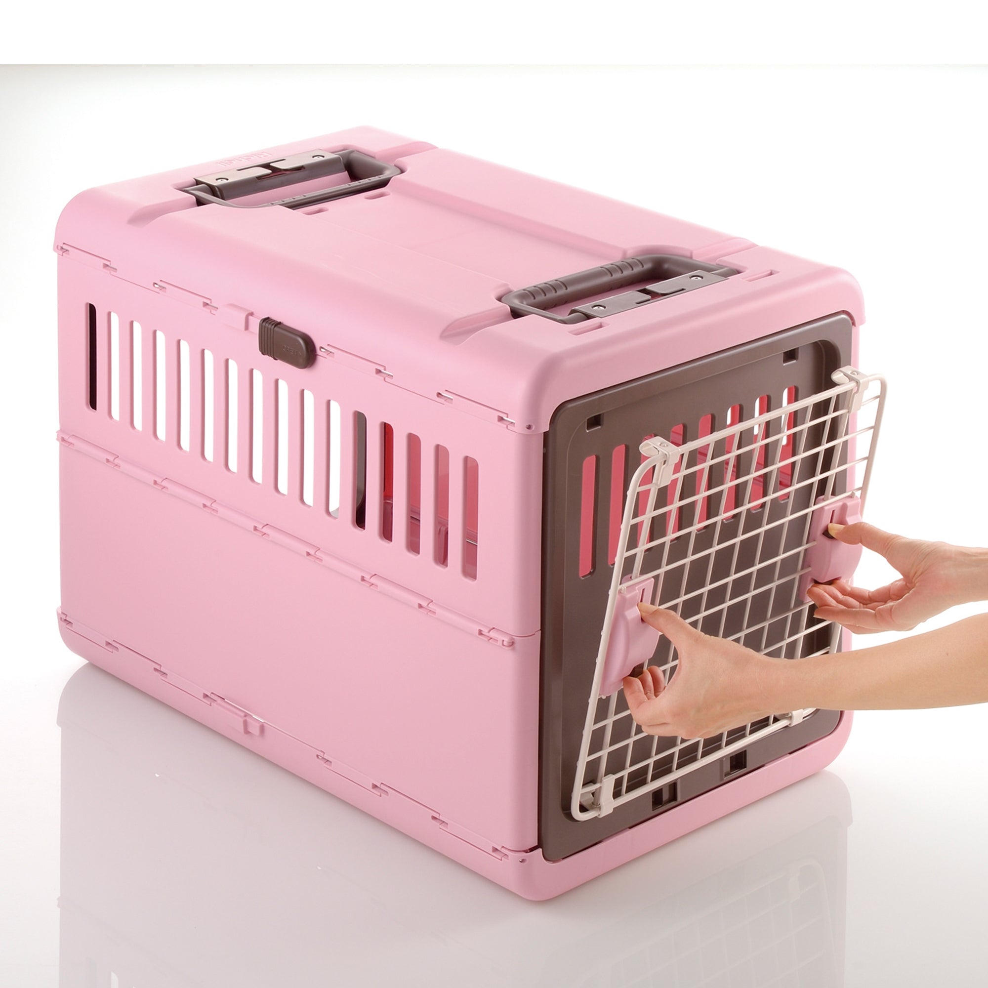 Richell Foldable Pet Carrier