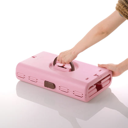 Richell Foldable Pet Carrier