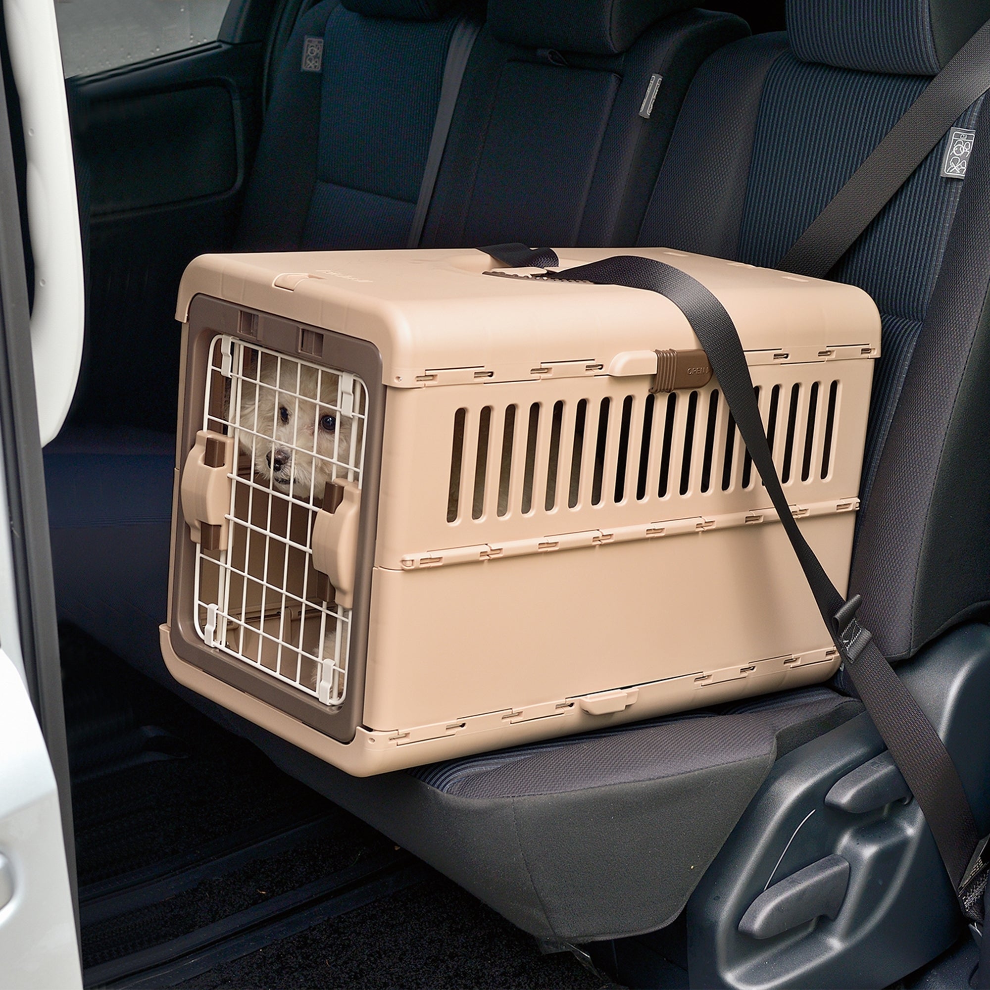 Richell Foldable Pet Carrier