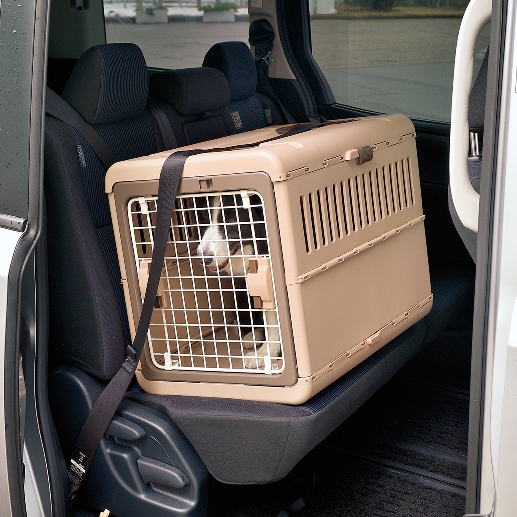 Richell Foldable Pet Carrier