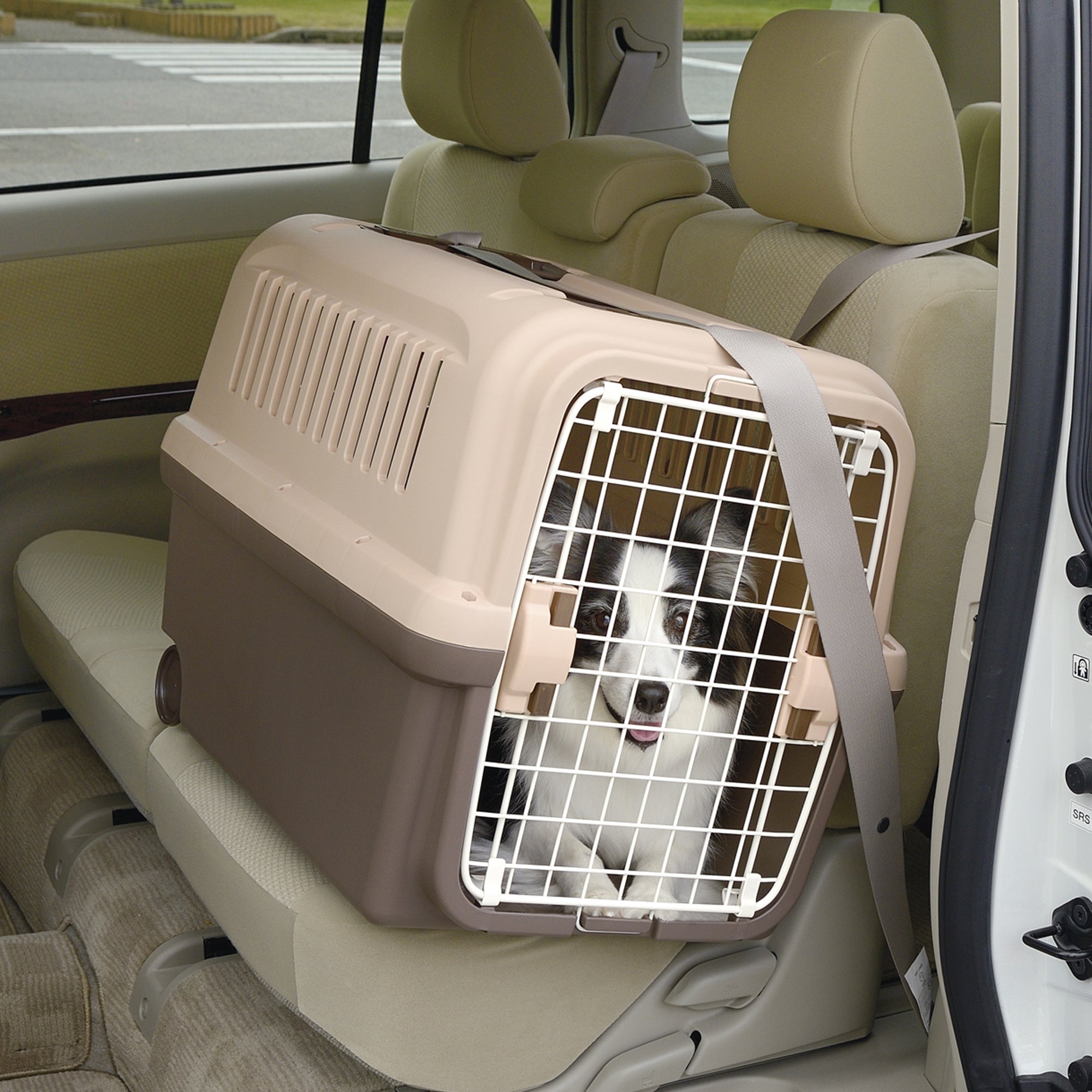 Richell E-Z Mobile Pet Carrier