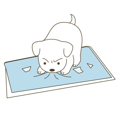 Richell PAW TRAX High Wall Potty Pad Tray