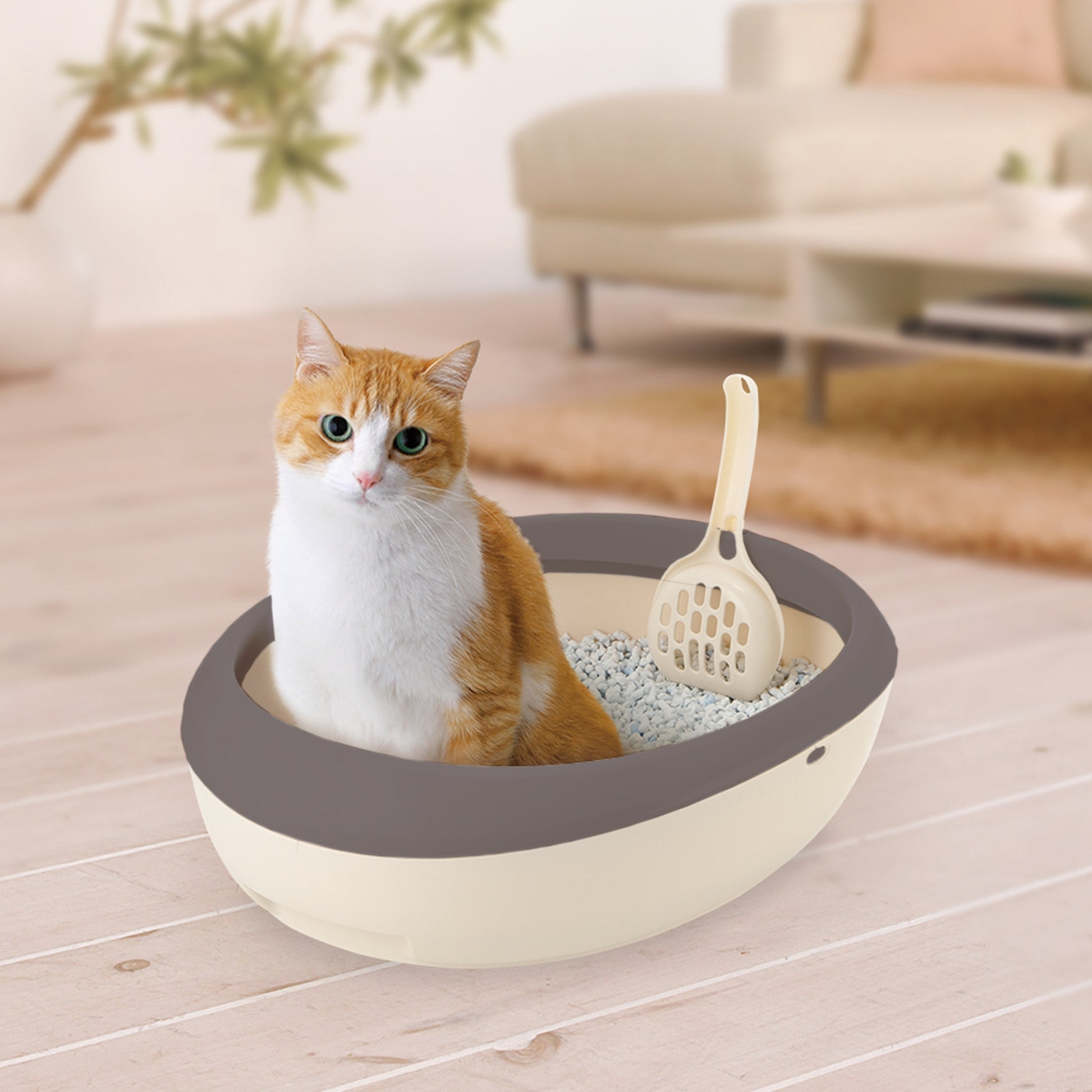 Richell PAW TRAX Top Open Cat Litter Pan