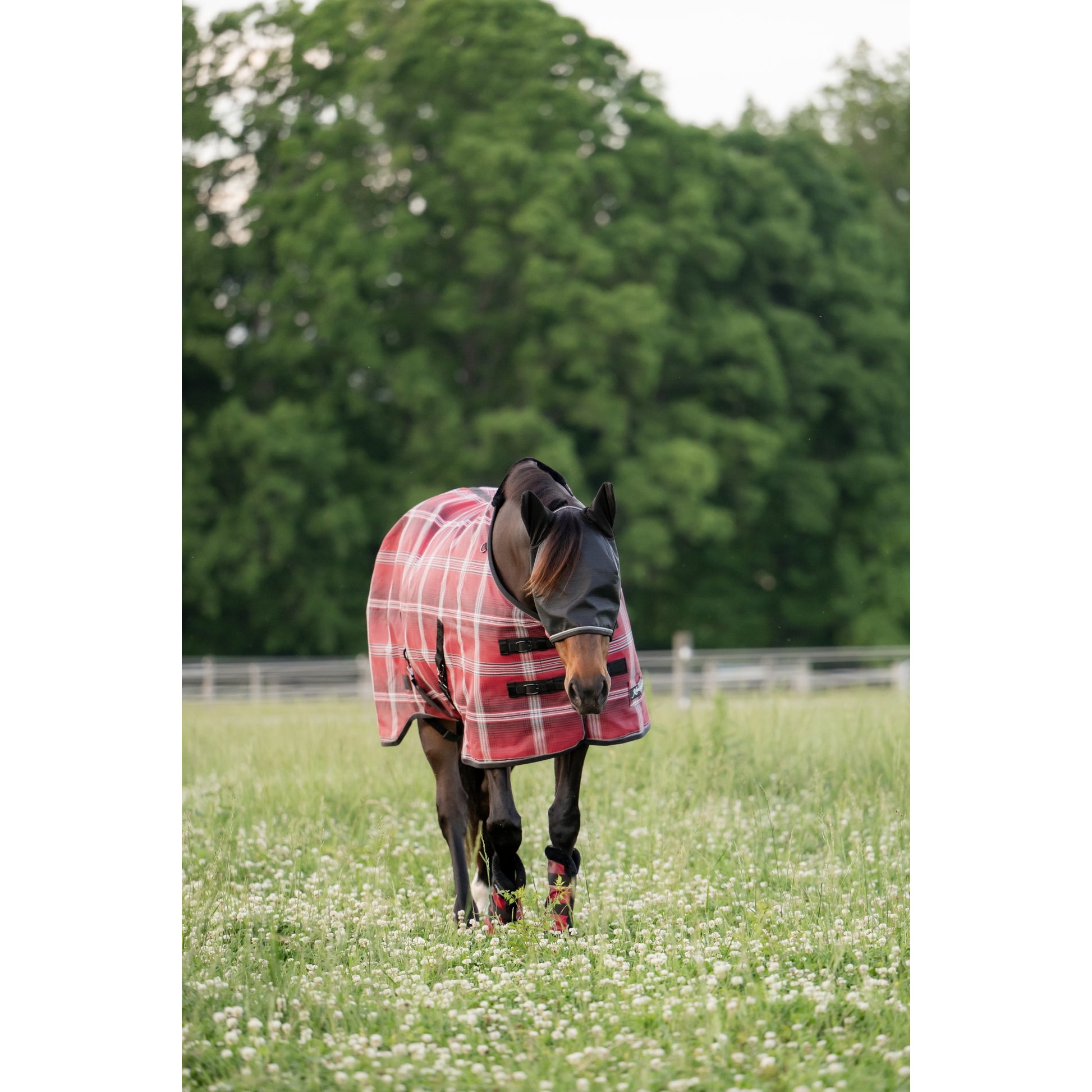 Kensington 73% UV Protective Fly Sheet