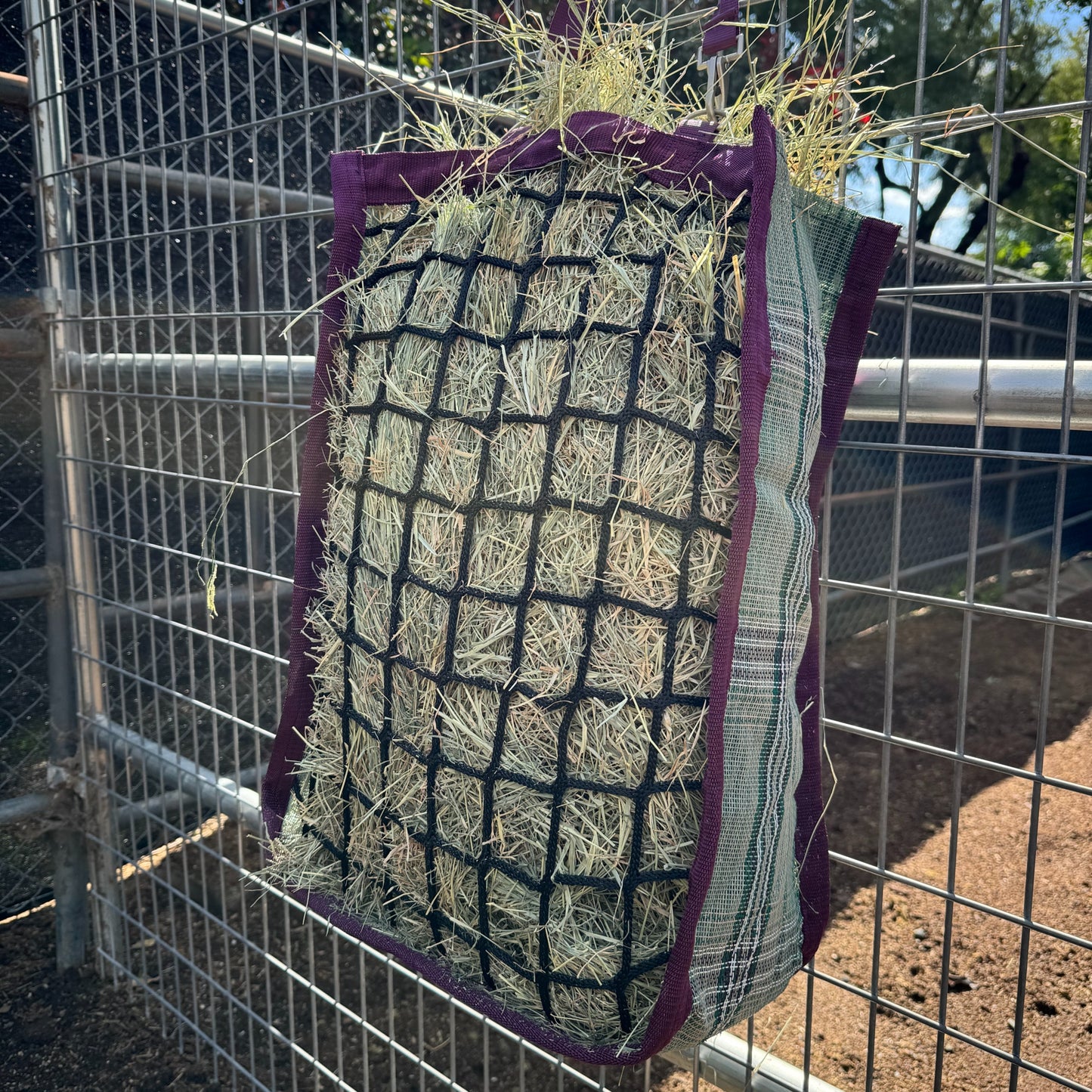 4-440050-a.jpg