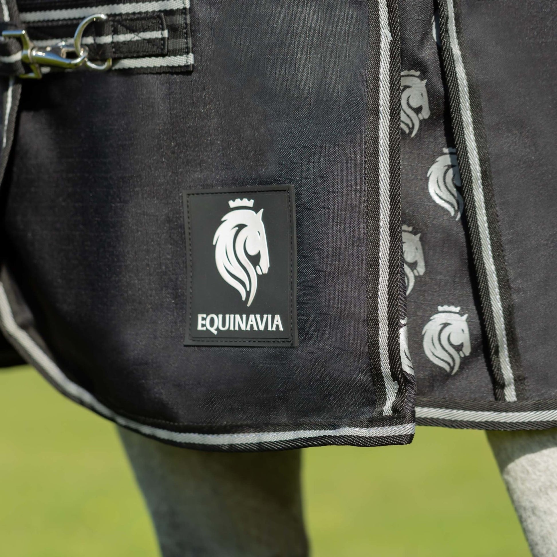 Equinavia Norse Lite Turnout Blanket 100g