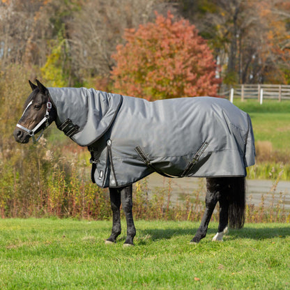 Equinavia Arktis TO Blanket 100g
