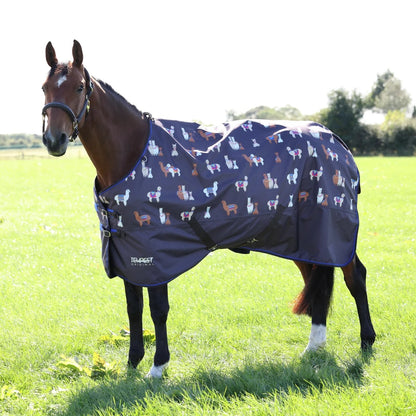 Shires Tempest Original Lite TO