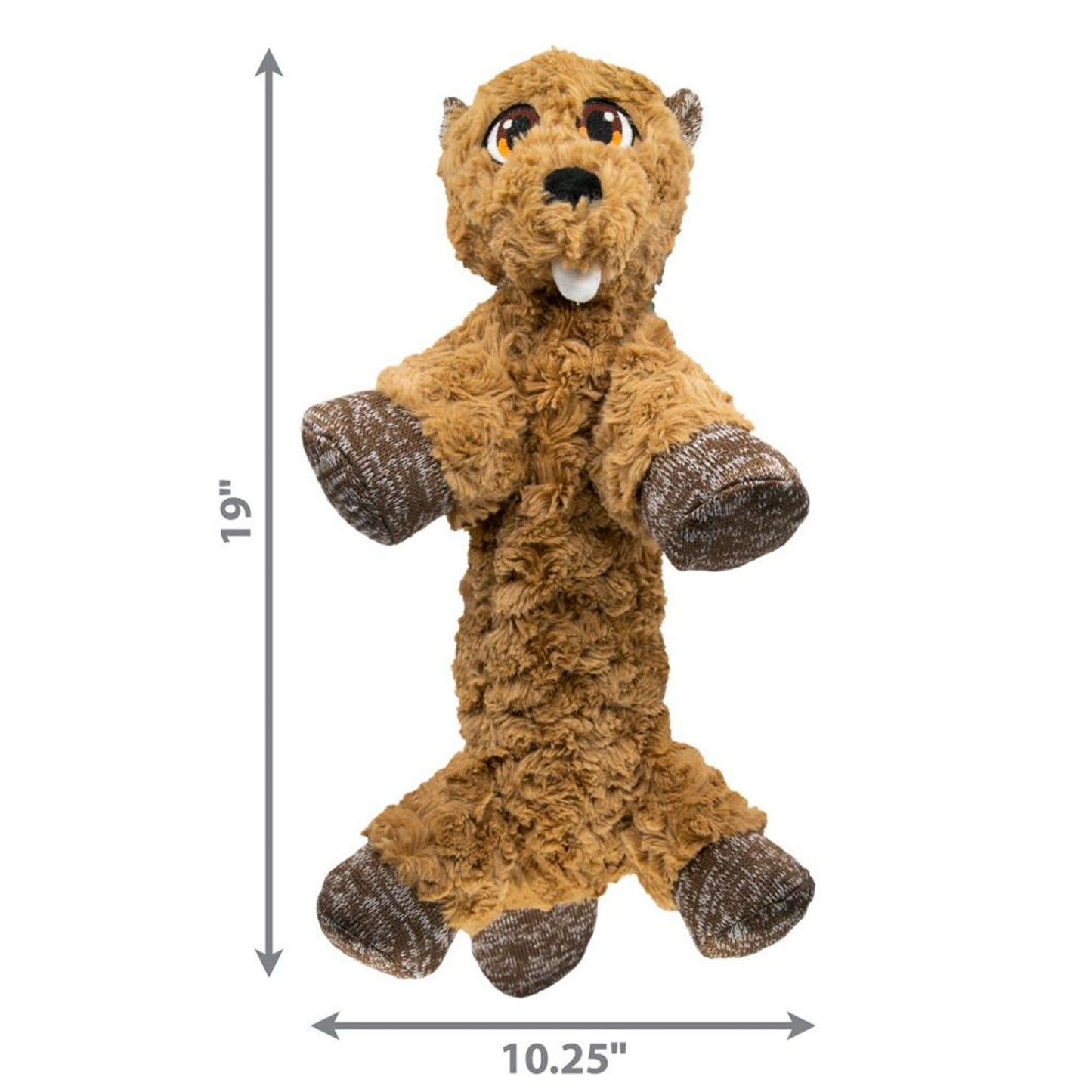 4-443935-c.jpg