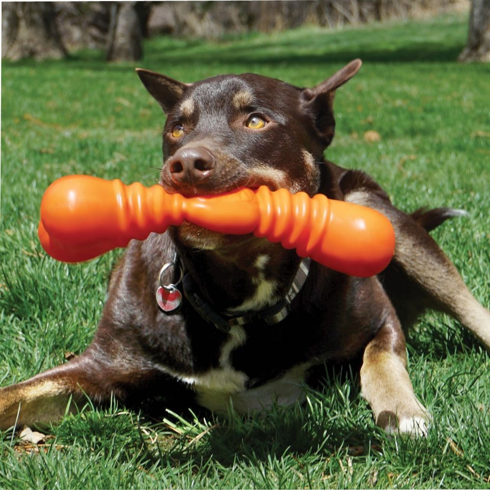 KONG SqueakStix Wigglerz