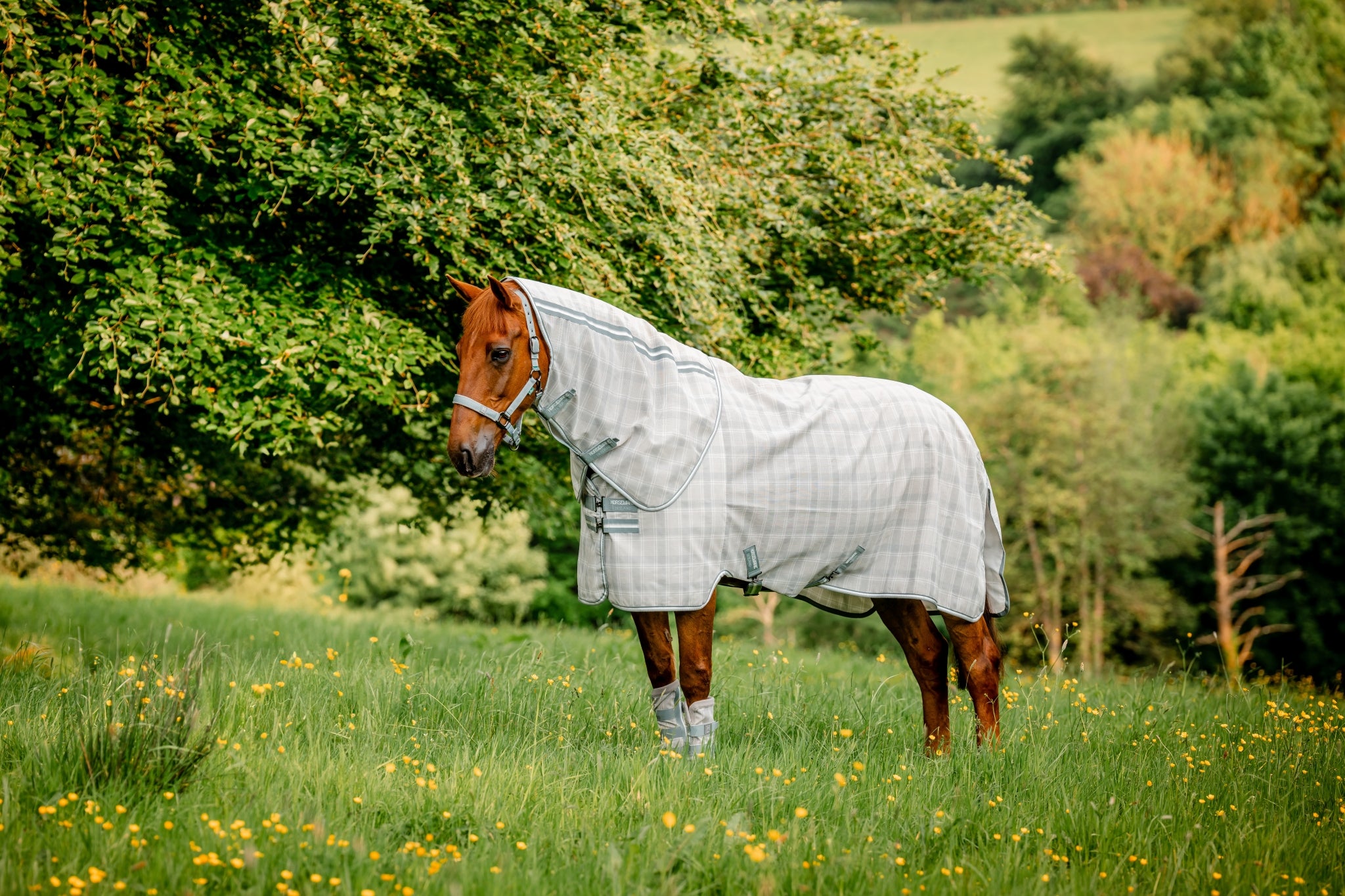 Horseware Newmarket Plus Fly Sheet