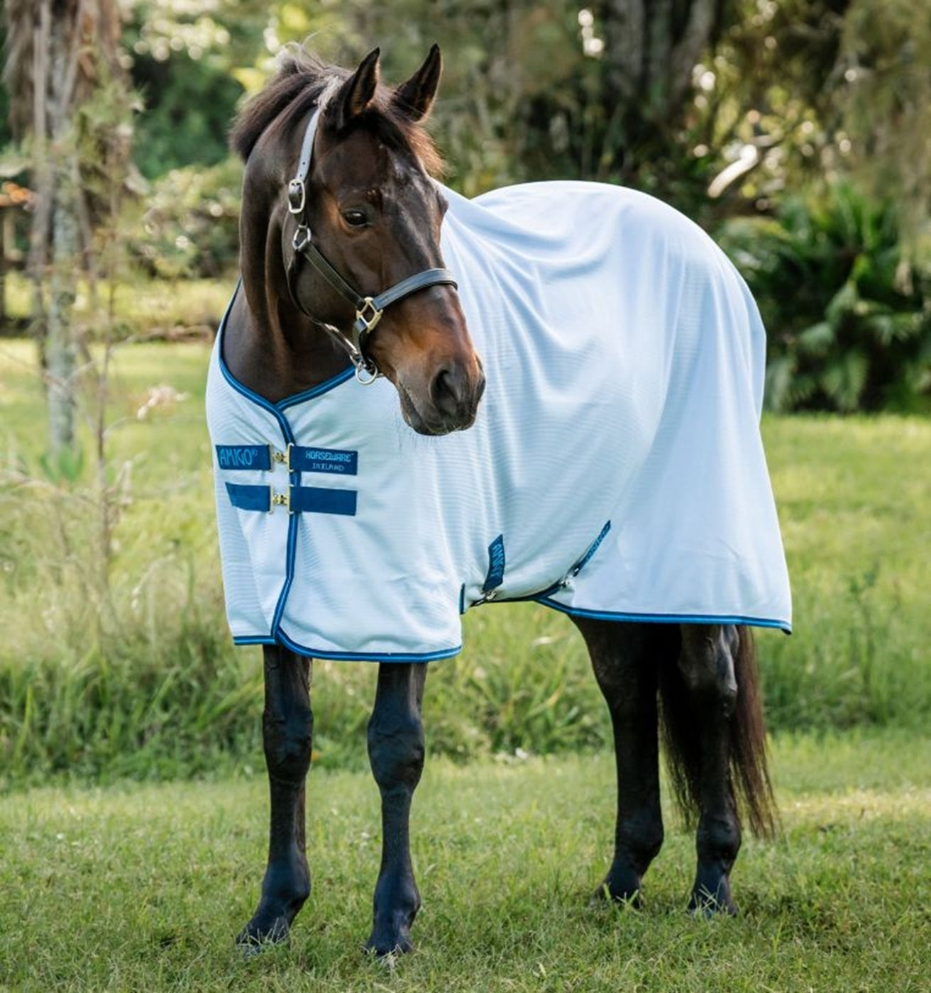 Amigo Bug Rug Fly Sheet– Horse.com