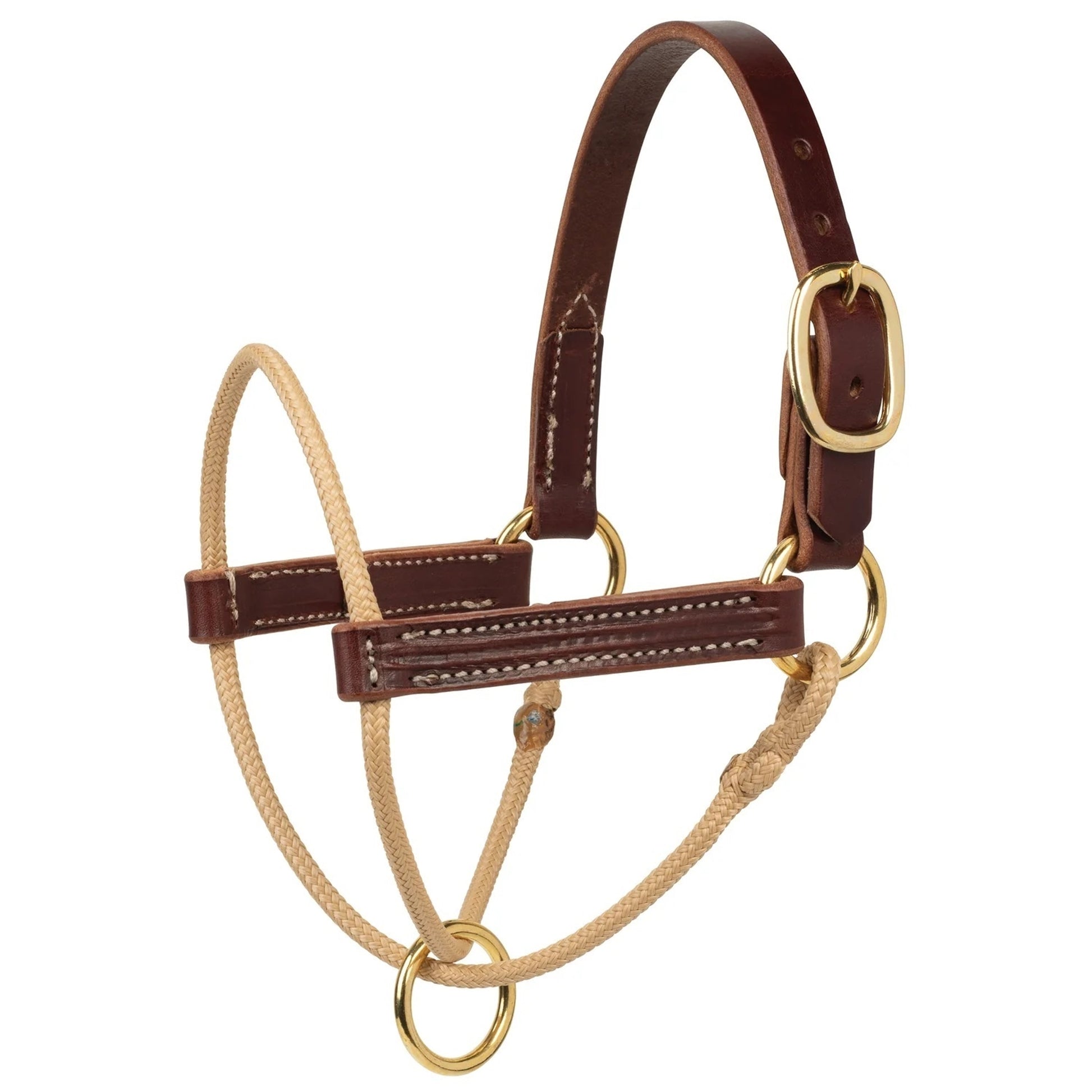 Weaver Horsemans Foal Halter