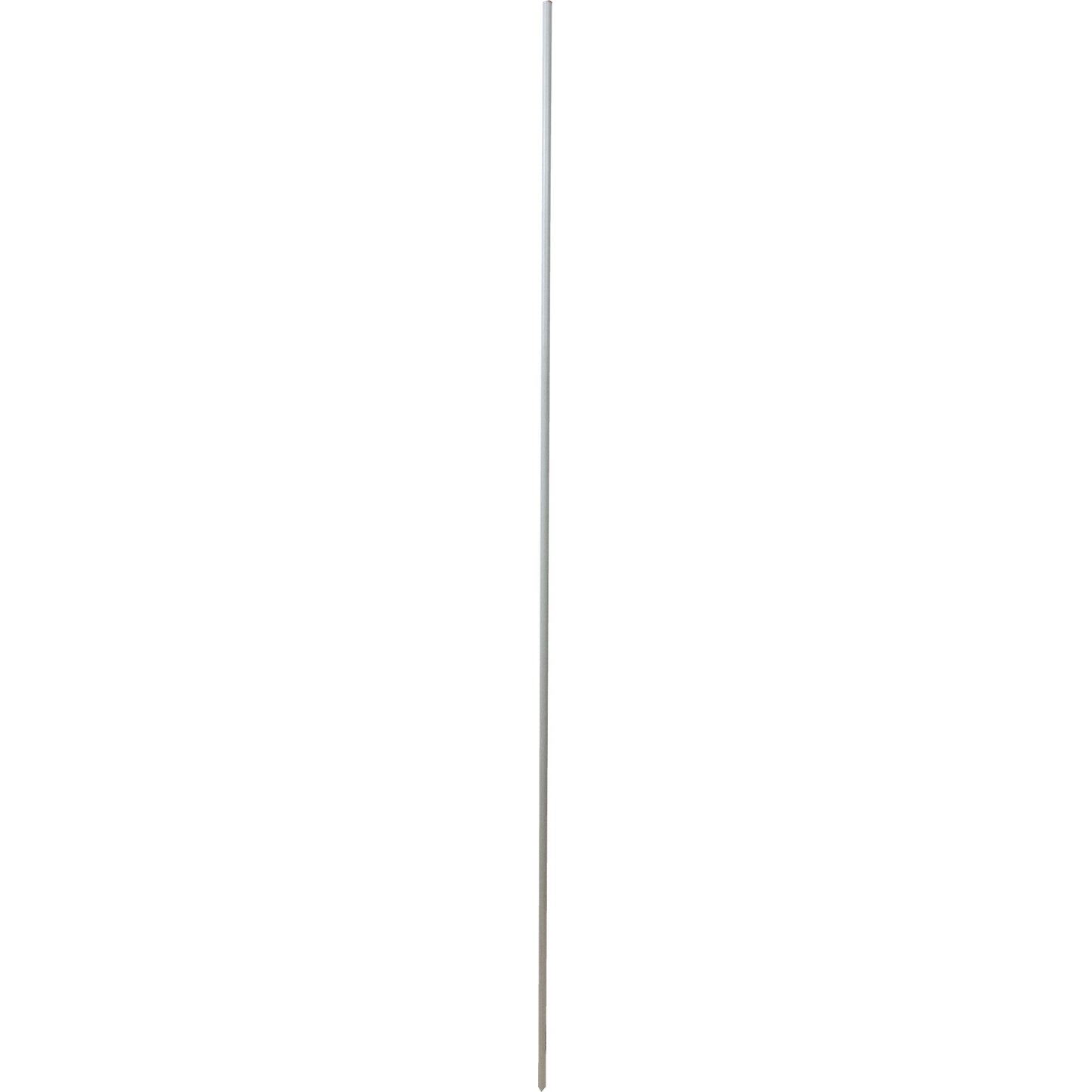 4-446490.jpg