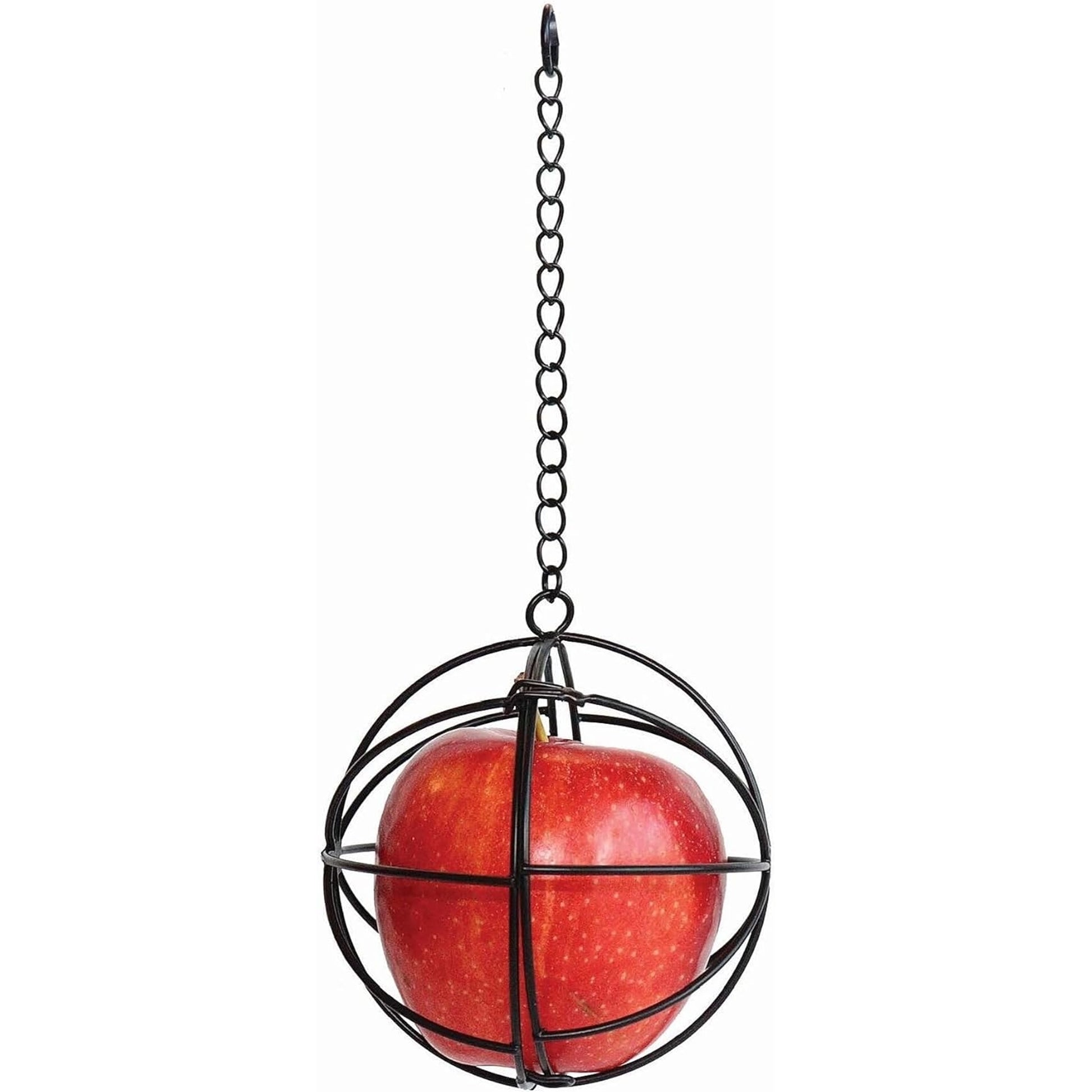 Little Giant Hanging Chicken Treat Ball