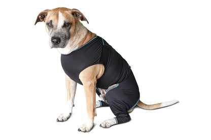 BeneFab Canine Comfort Suit