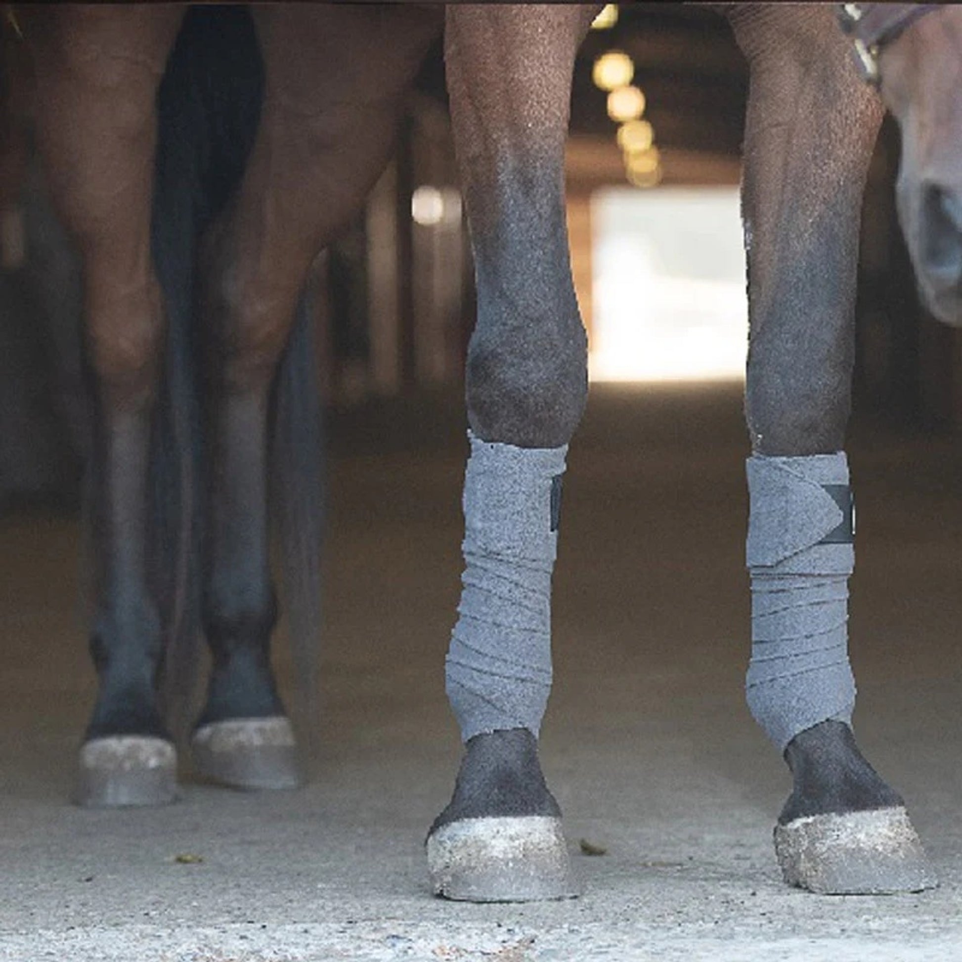 BeneFab Therapeutic Polo Wraps