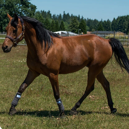BeneFab Therapeutic Polo Wraps