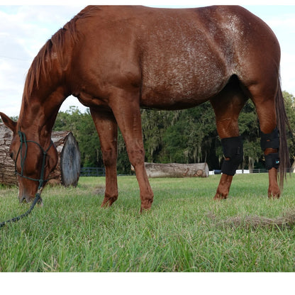 BeneFab Rejuvenate Smart Hock Boots
