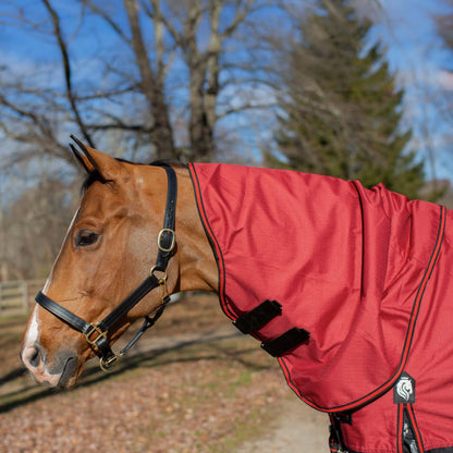 Equinavia Norse Turnout Neck Cover 200g