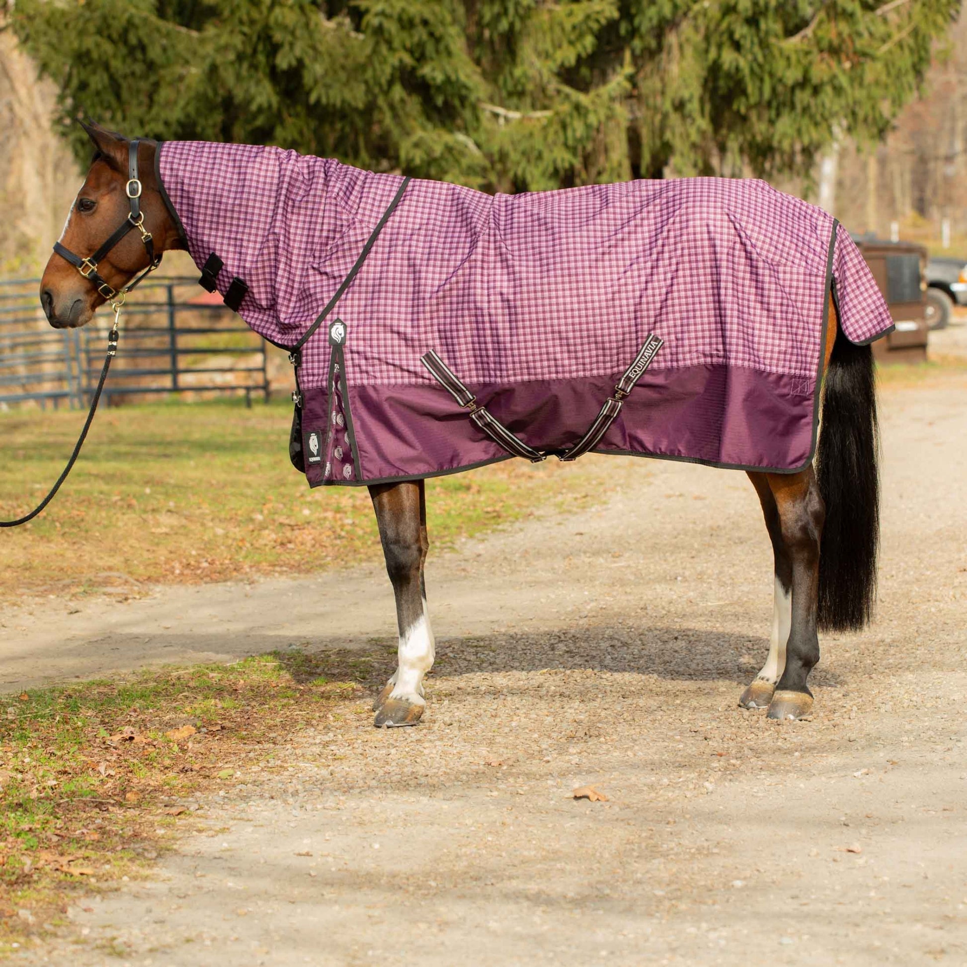Equinavia Norse Turnout Neck Cover 200g