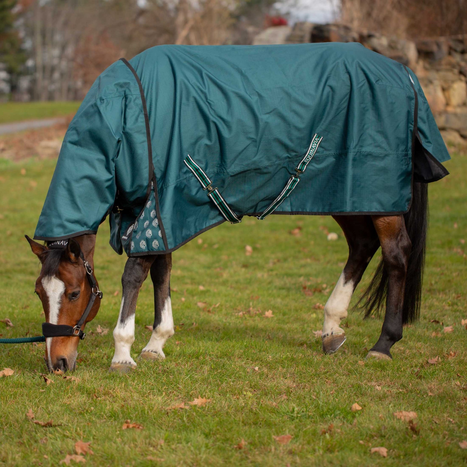 Equinavia Arktis Neck Cover No Fill