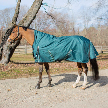 Equinavia Arktis Extended Neck Turnout Sheet