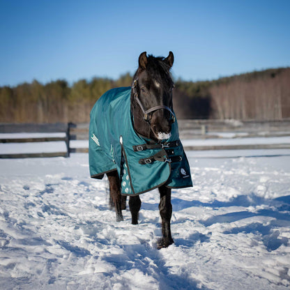 Equinavia Arktis Extended Neck Turnout Sheet
